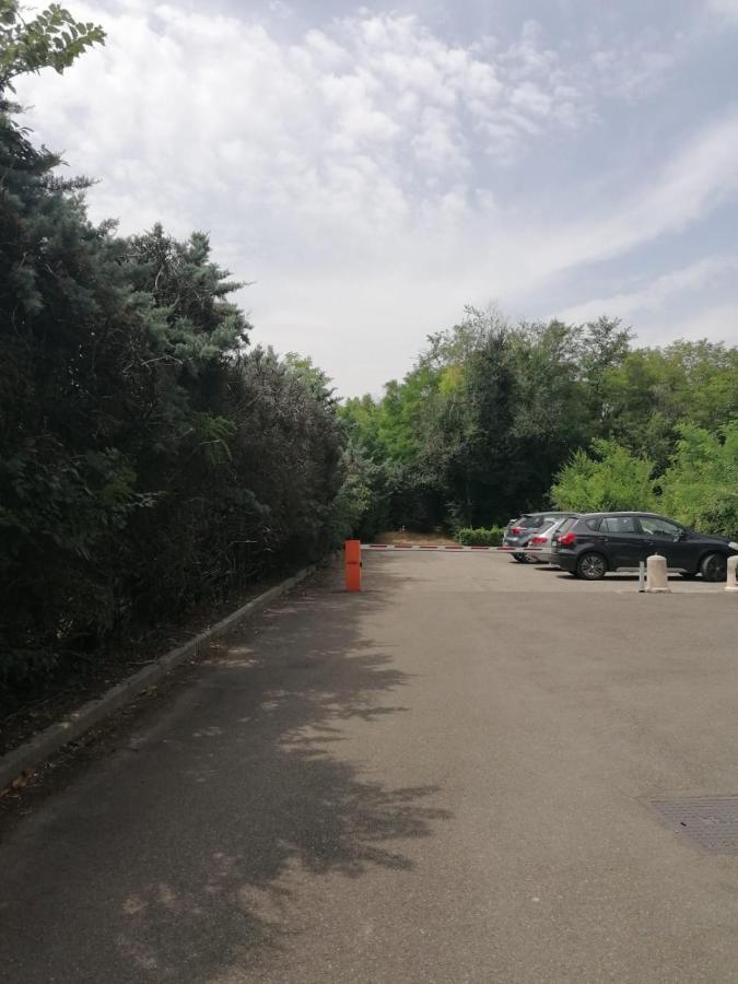 La Palma Apt Peschiera Пескиера дел Гарда Екстериор снимка